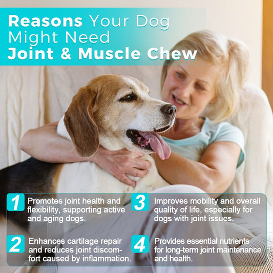 Joint and muscle chewable tablets for dogs - natural supplement for mobility and joint health