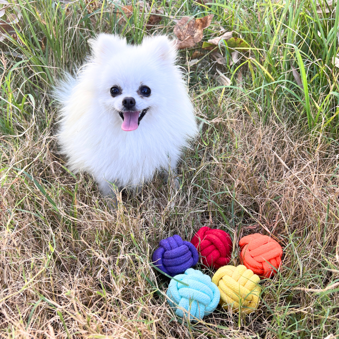Petite Pup rainbow rope ball set for small dogs - The Crazy Dog Shop
