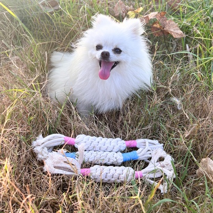 Rainbow Candy Macrame Rope Pet Toy-3