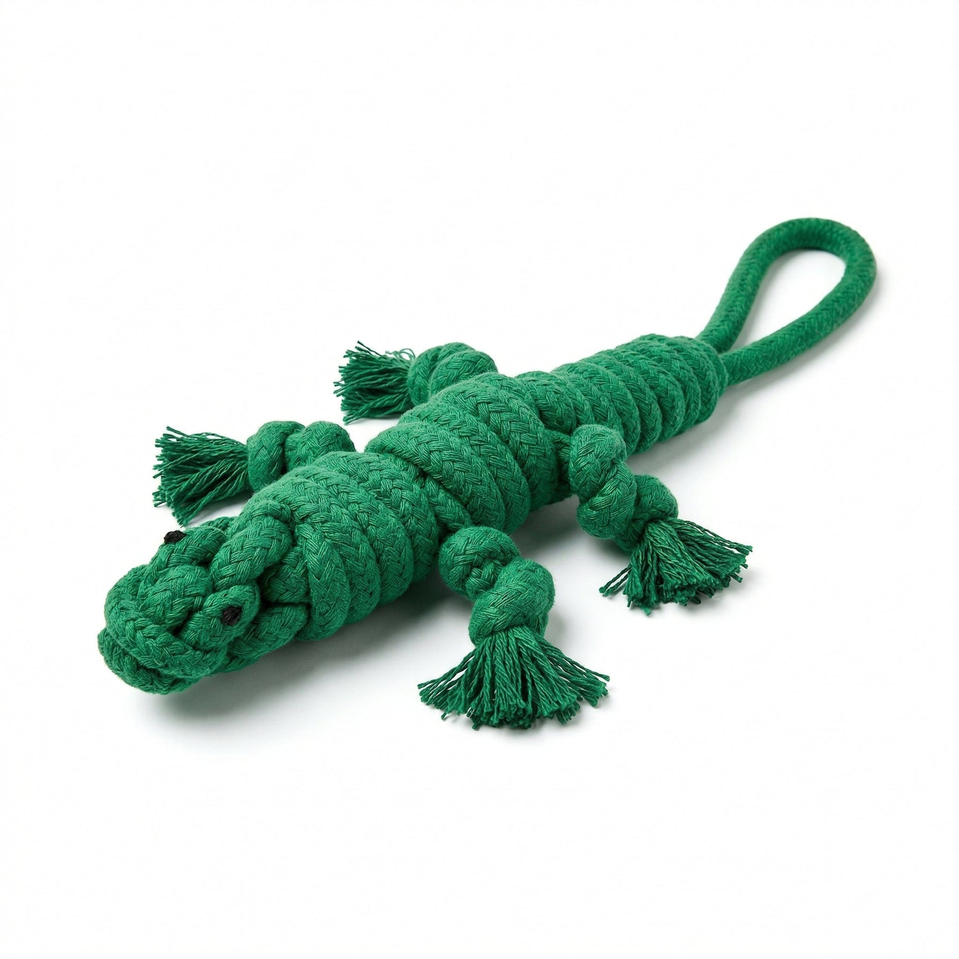 Owen the Green Lizard Rope Toy-0