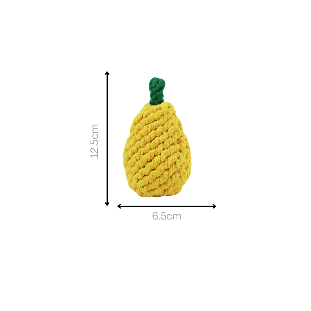 Fruity Delights handcrafted artisan rope dog toys - The Crazy Dog Shop 