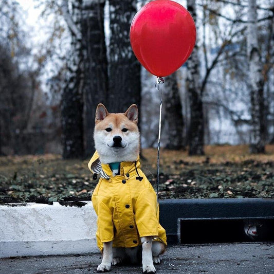 Classic British Style Dog Raincoat - Stylish And Functional Pet Clothes For Rainy Days-0