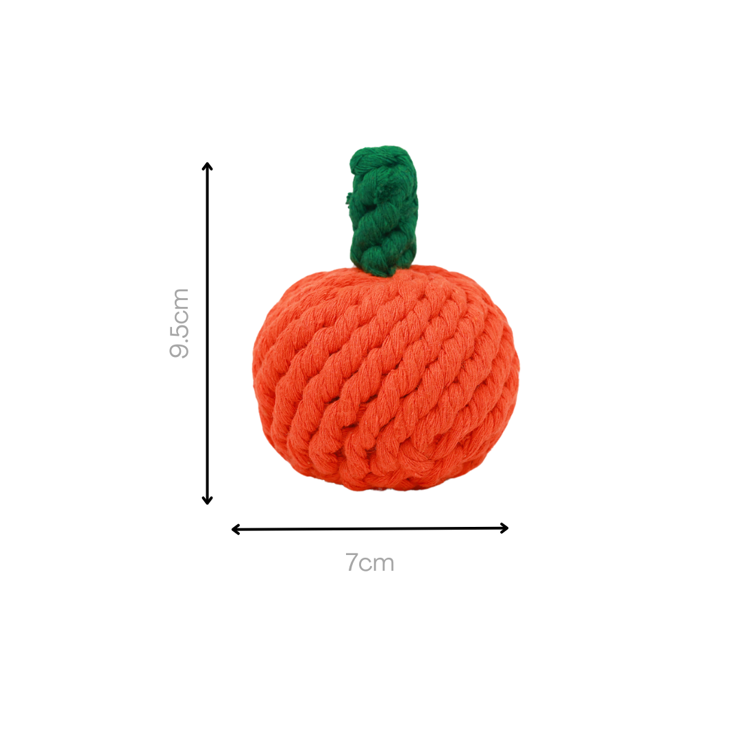 Fruity Delights handcrafted artisan rope dog toys - The Crazy Dog Shop 