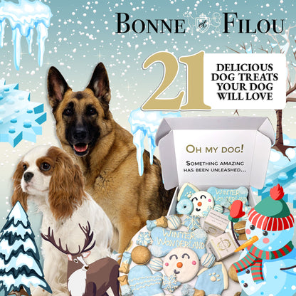 Handmade winter dog treats gift box - 18 treats - The Crazy Dog Shop