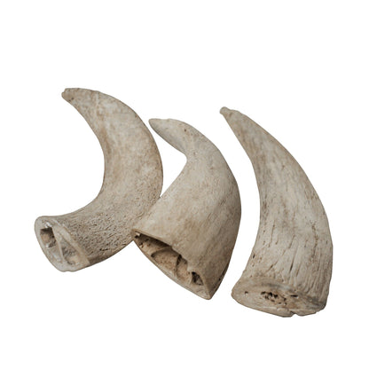 537361081