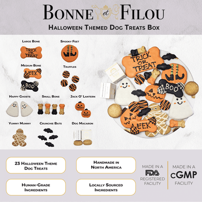 Spooky Halloween dog treats gift box - 18 handmade treats - The Crazy Dog Shop