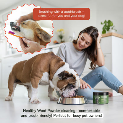 No-brush dental powder for dogs with bone broth formula