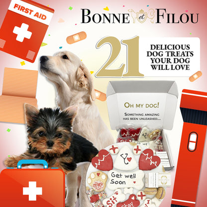 Get well soon dog treats gift box - 18 handmade treats - The Crazy Dog Shop