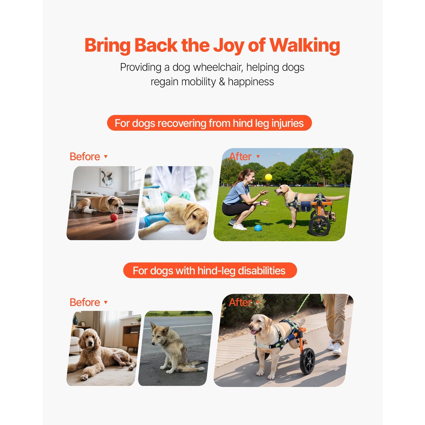 Lightweight adjustable dog wheelchair for back legs - disabled dogs 35-48 lbs - The Crazy Dog Shop