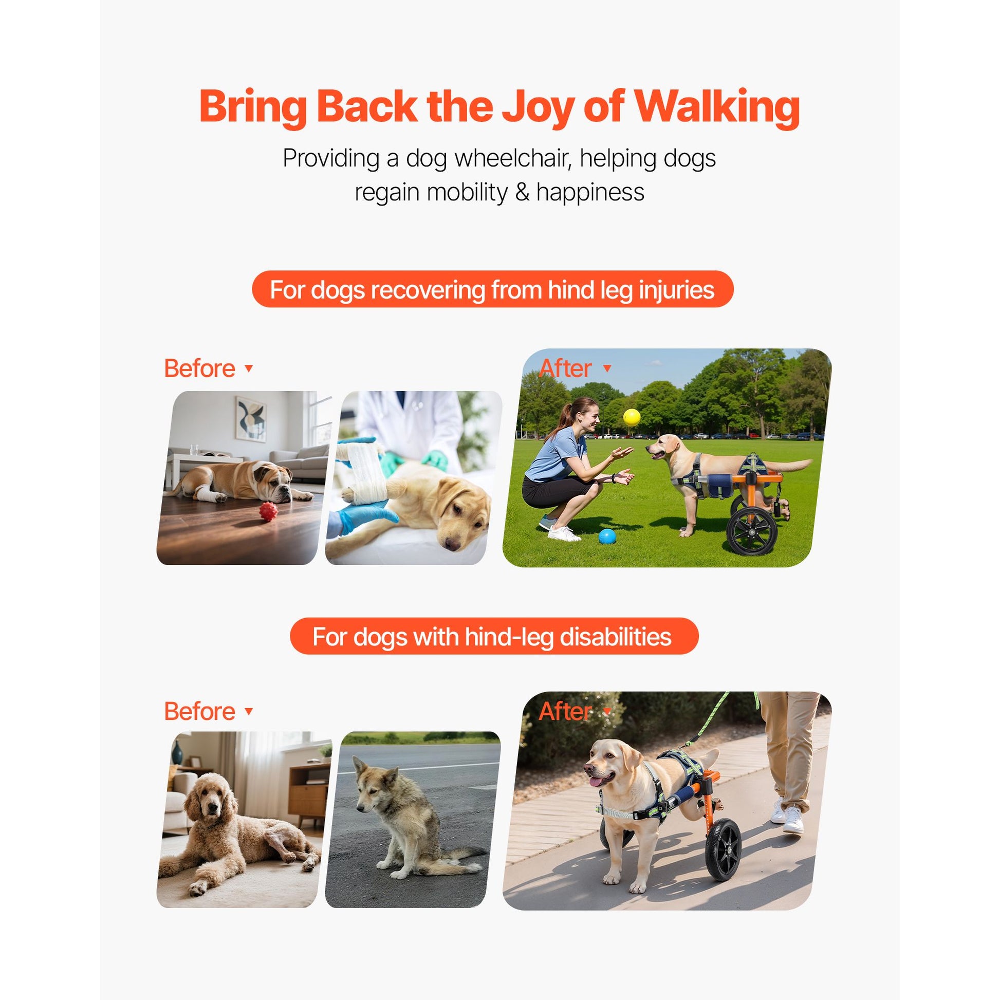 Lightweight adjustable dog wheelchair for back legs - disabled dogs 35-48 lbs - The Crazy Dog Shop