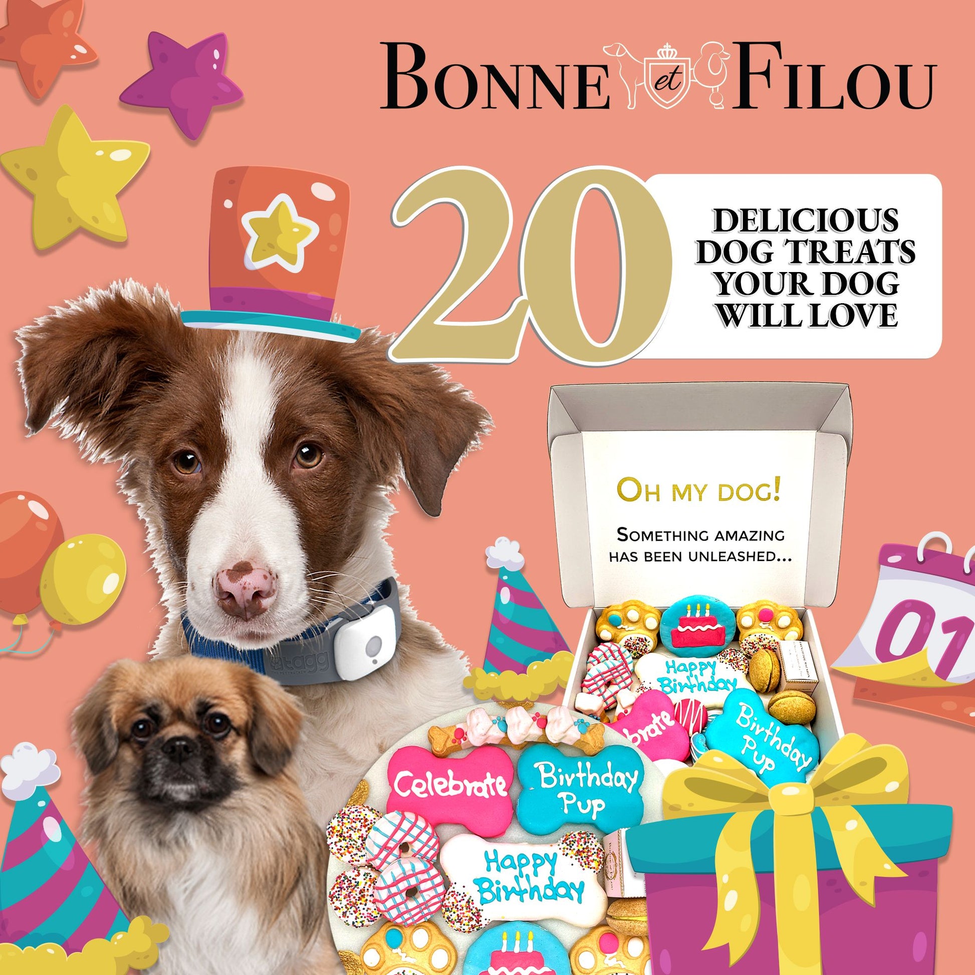 Birthday dog treats gift box - 18 handmade treats - The Crazy Dog Shop

