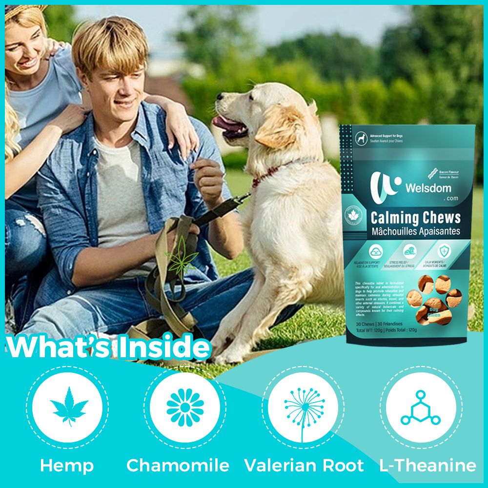 "Natural Dog Calming Chews - front view", "- ingredients", "- lifestyle"