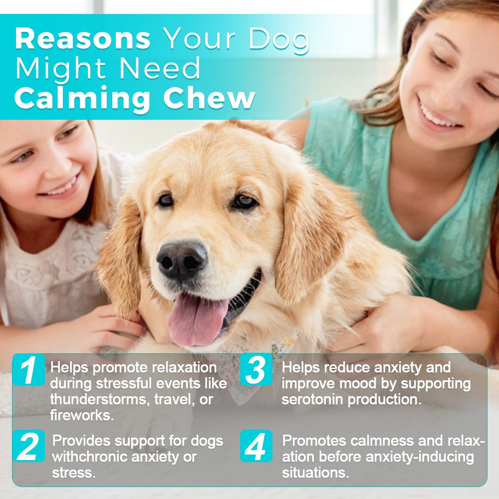 "Natural Dog Calming Chews - front view", "- ingredients", "- lifestyle"