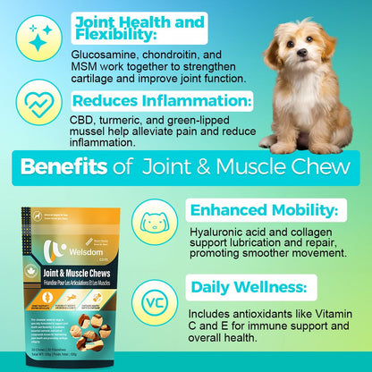 Joint and muscle chewable tablets for dogs - natural supplement for mobility and joint health