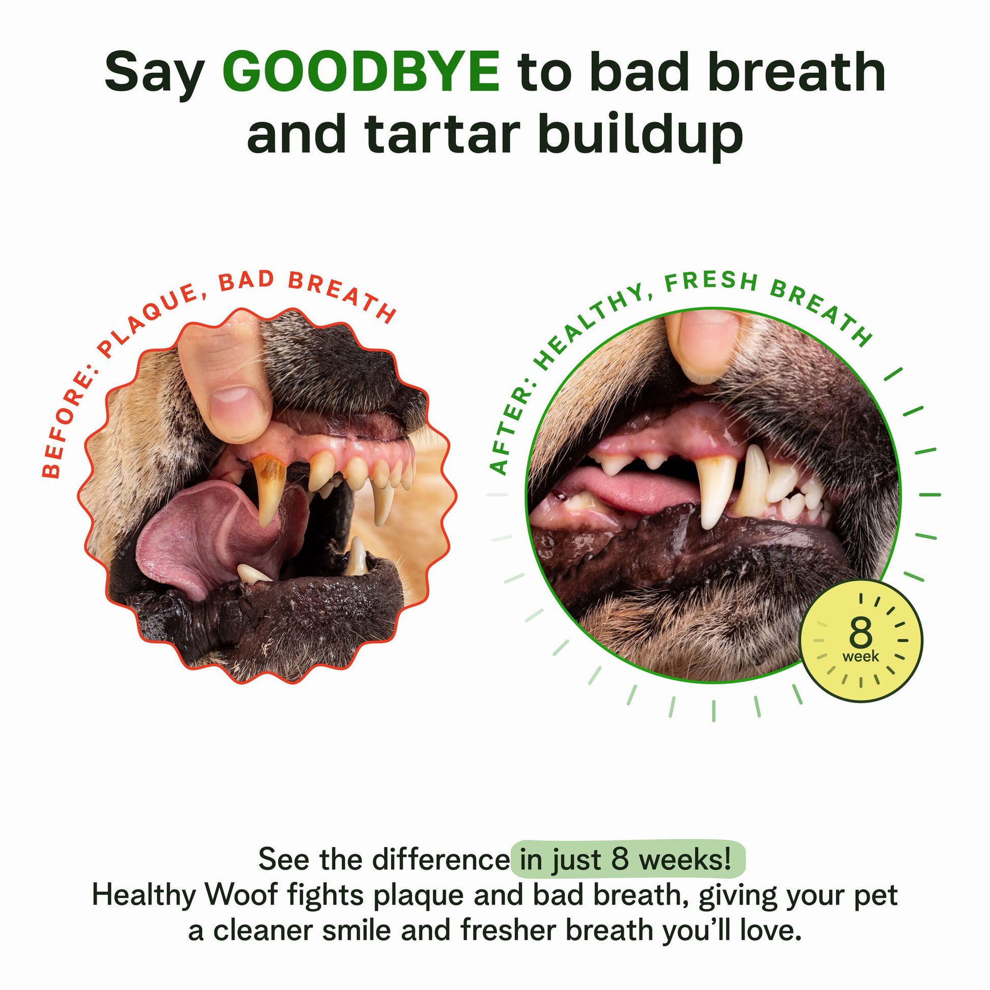 Healthy Woof oral care powder - ingredients view