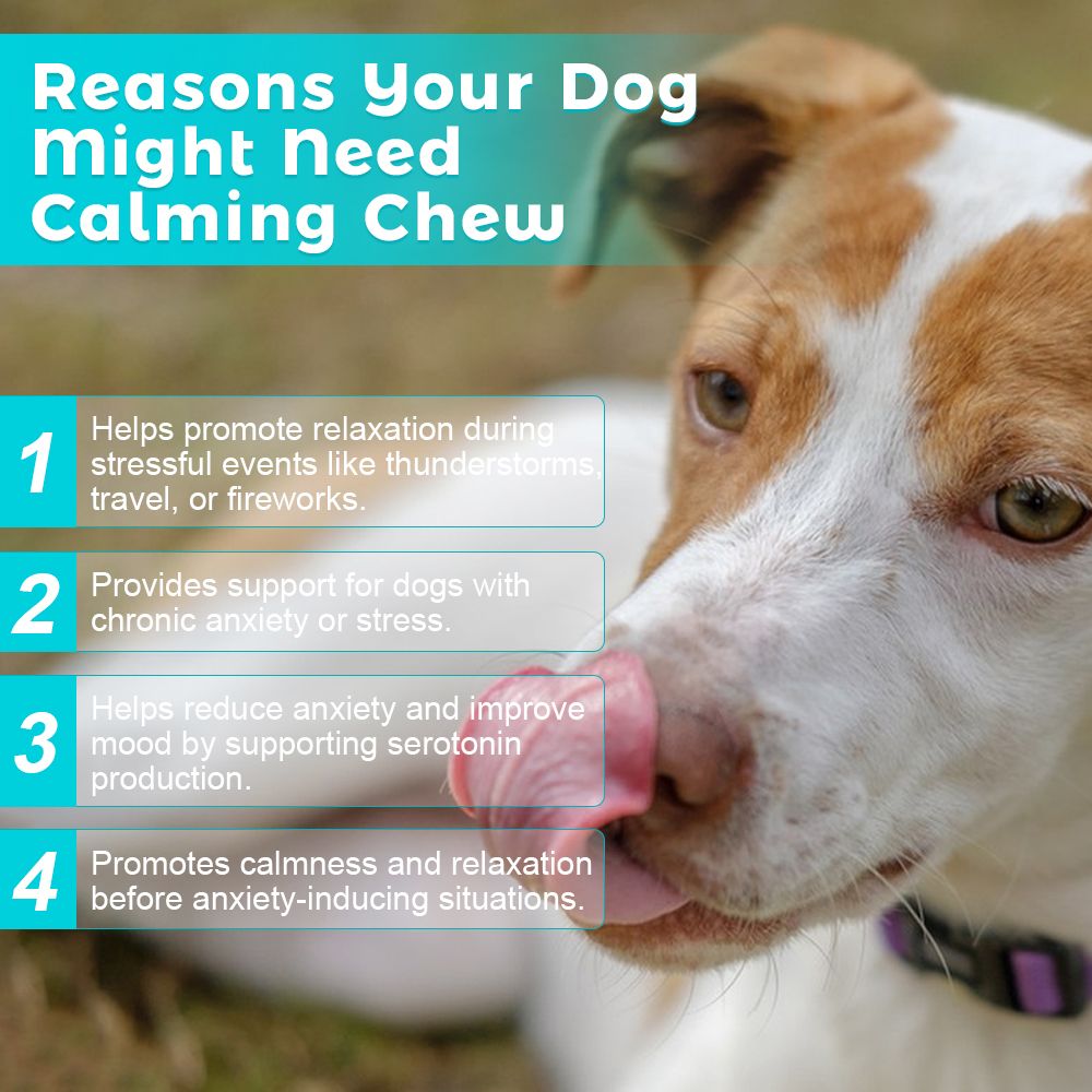 "Natural Dog Calming Chews - front view", "- ingredients", "- lifestyle"