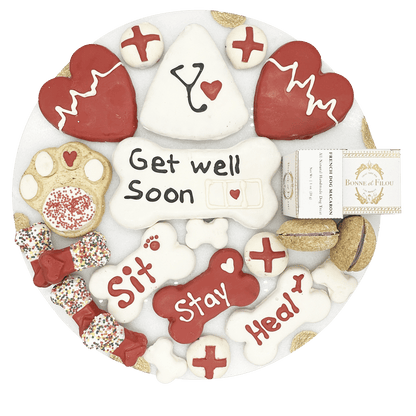 Get well soon dog treats gift box - 18 handmade treats - The Crazy Dog Shop