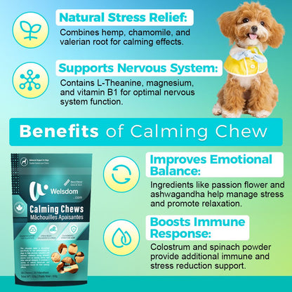 "Natural Dog Calming Chews - front view", "- ingredients", "- lifestyle"