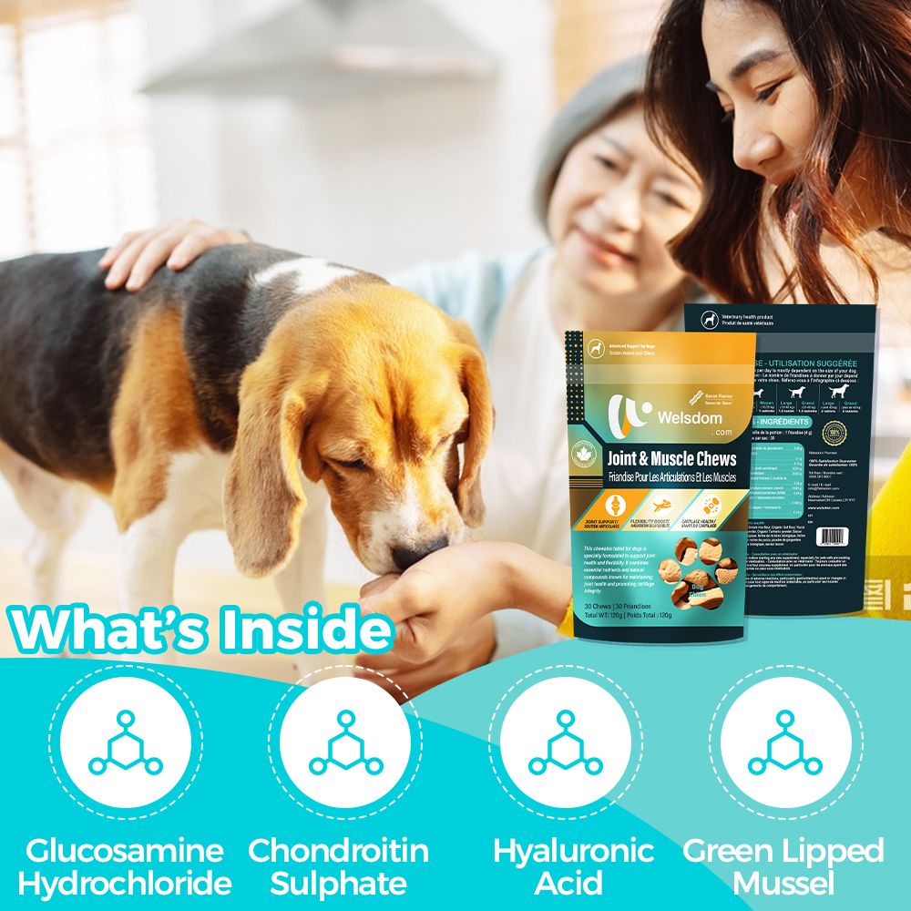 Joint and muscle chewable tablets for dogs - natural supplement for mobility and joint health