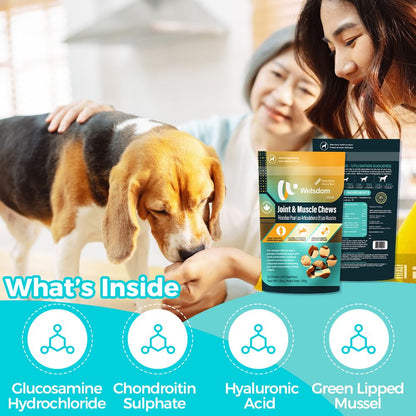 Joint and muscle chewable tablets for dogs - natural supplement for mobility and joint health