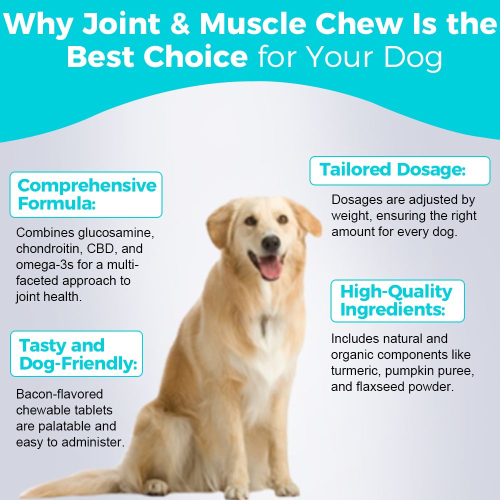 Joint and muscle chewable tablets for dogs - natural supplement for mobility and joint health