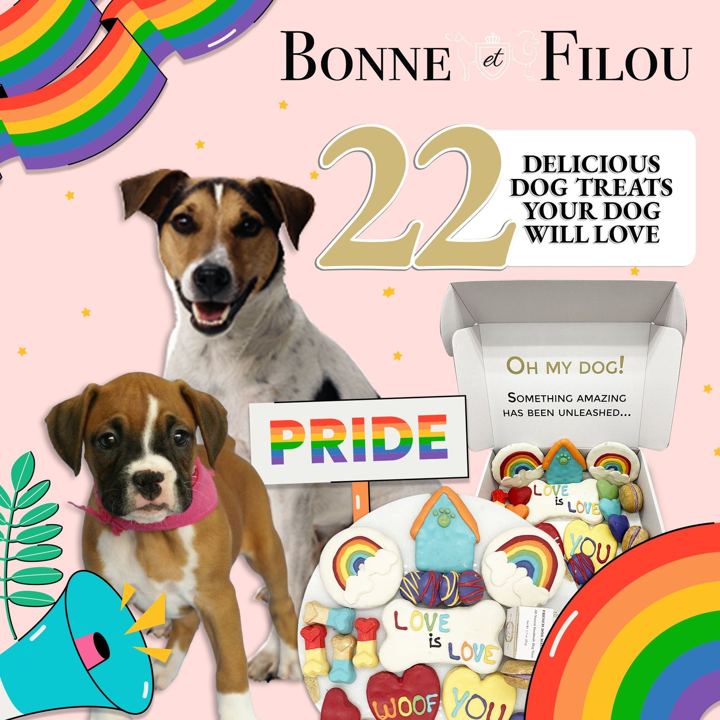 Pride celebration dog treats gift box - 18 handmade treats - The Crazy Dog Shop