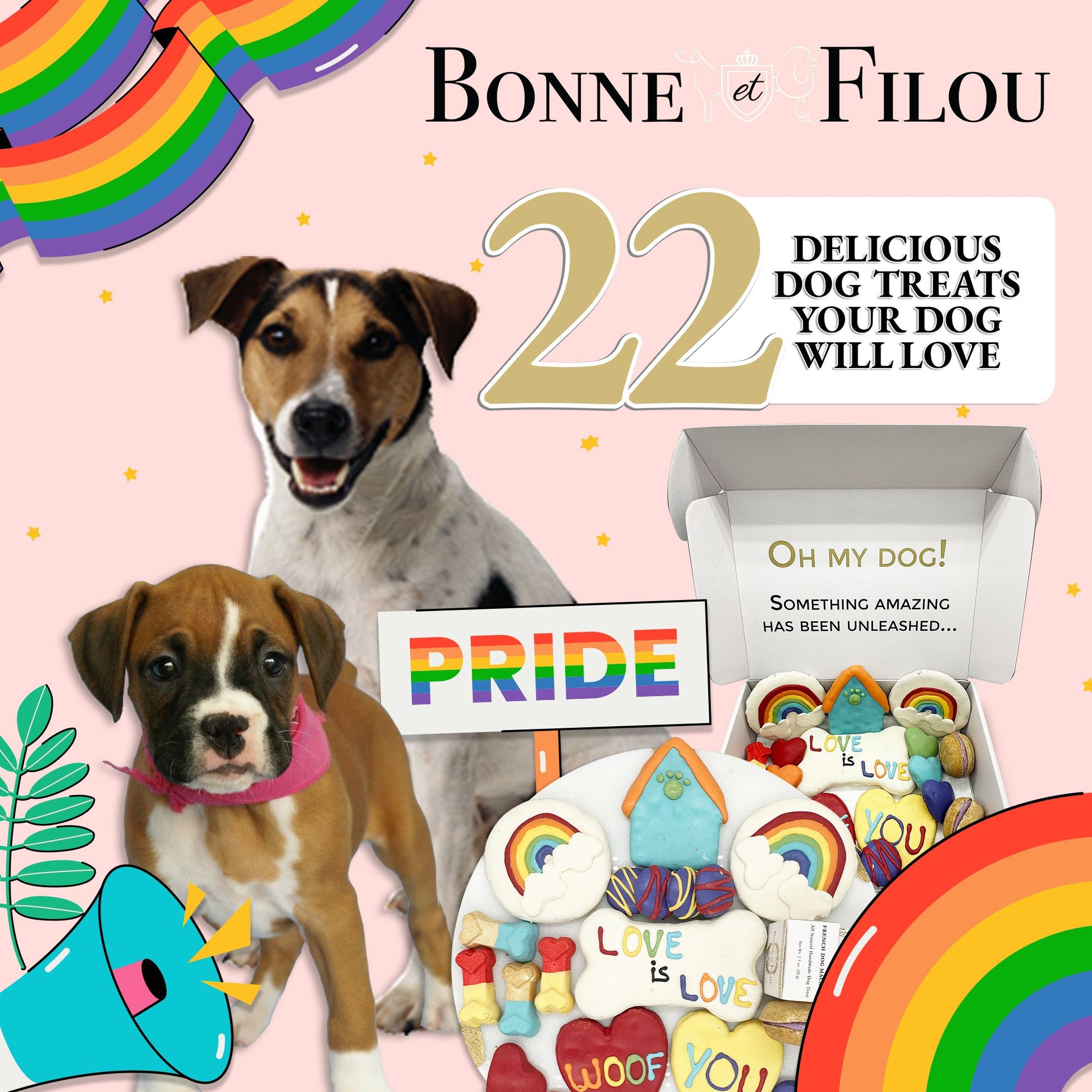 Pride celebration dog treats gift box - 18 handmade treats - The Crazy Dog Shop