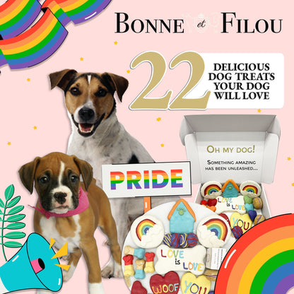 Pride celebration dog treats gift box - 18 handmade treats - The Crazy Dog Shop