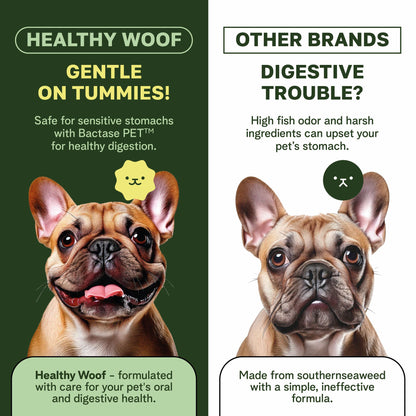 Dog teeth cleaning powder - sensitive stomach safe