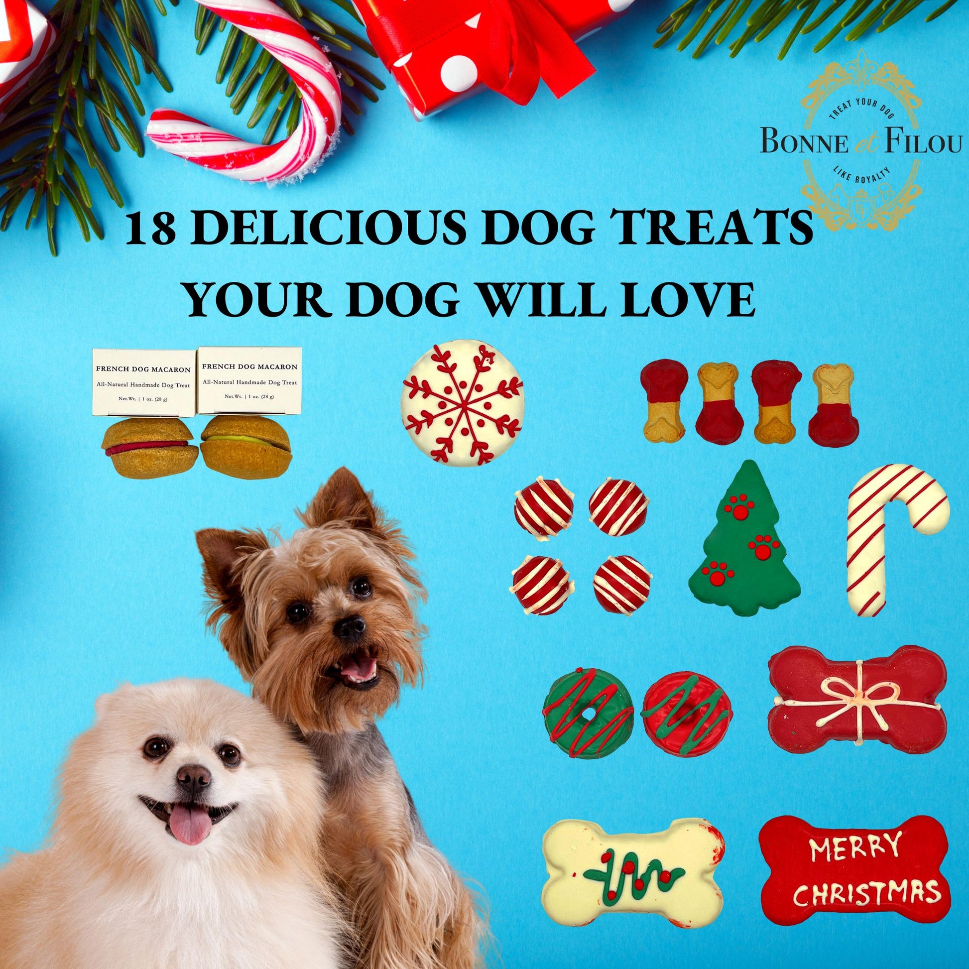 Christmas holiday dog treats gift box - 18 handmade treats - The Crazy Dog Shop