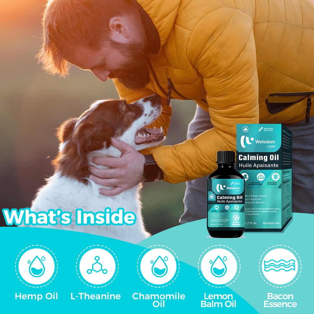 Dog anxiety relief oil - The Crazy Dog Shop