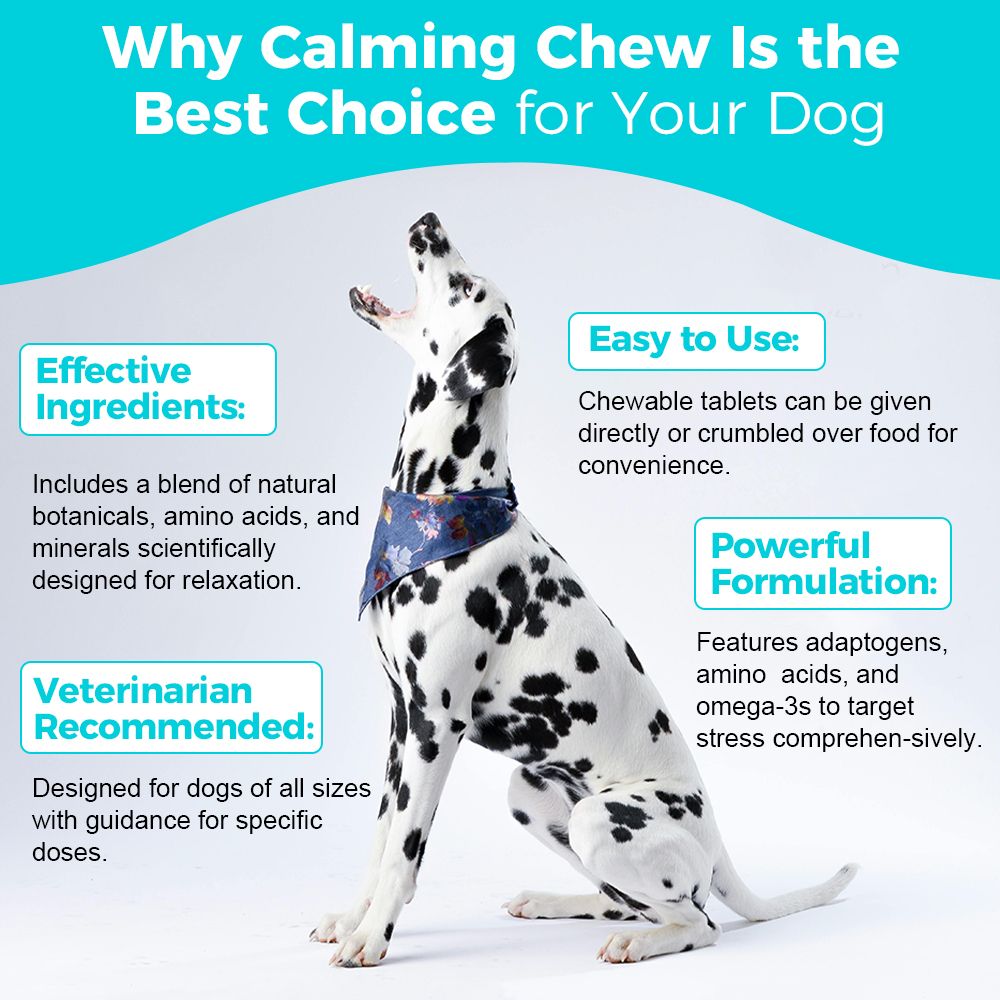 "Natural Dog Calming Chews - front view", "- ingredients", "- lifestyle"
