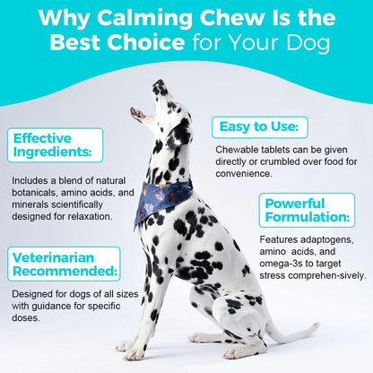 "Natural Dog Calming Chews - front view", "- ingredients", "- lifestyle"