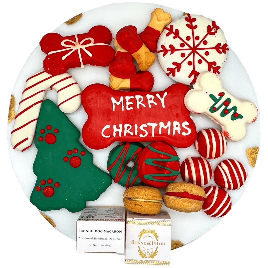 Christmas holiday dog treats gift box - 18 handmade treats - The Crazy Dog Shop