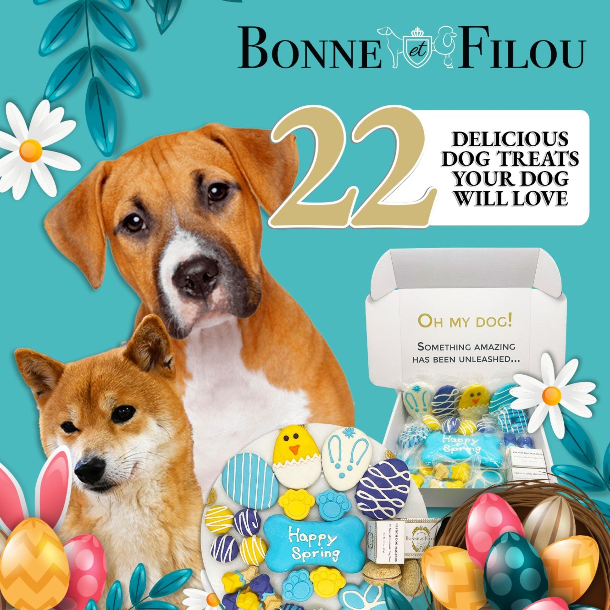 Easter spring dog treats gift box - 18 handmade treats - The Crazy Dog Shop