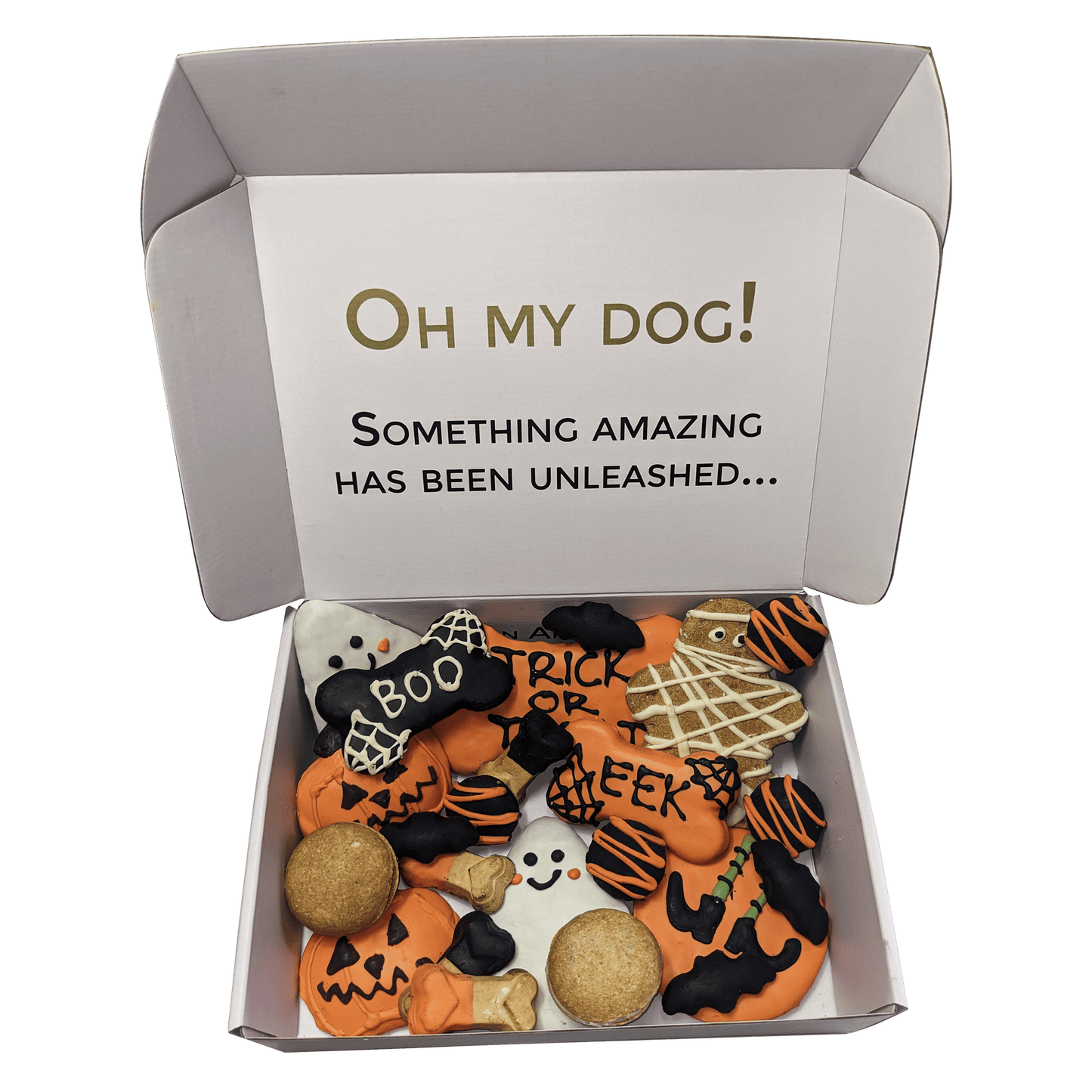 Spooky Halloween dog treats gift box - 18 handmade treats - The Crazy Dog Shop