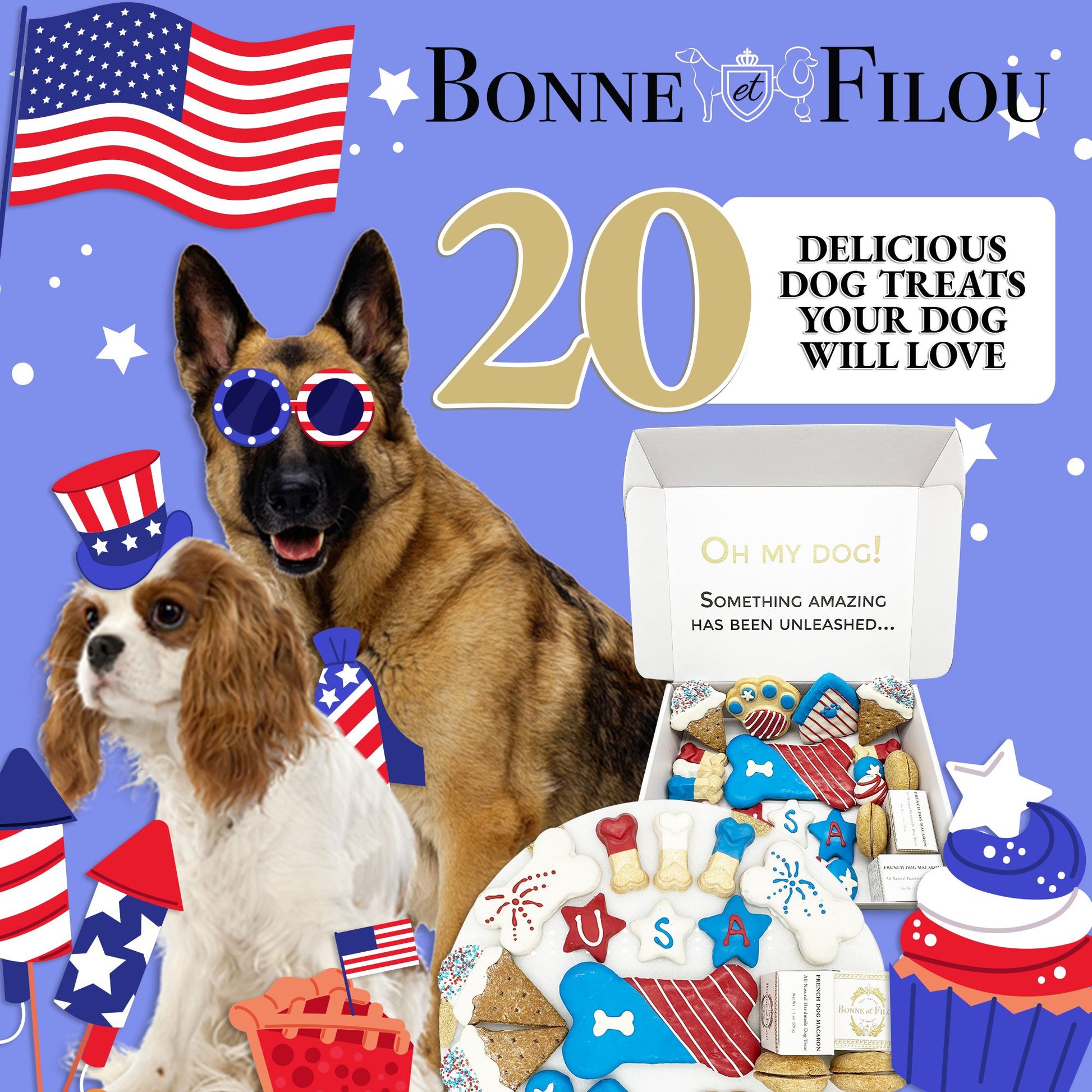 Patriotic USA dog treats gift box - 18 handmade treats - The Crazy Dog Shop