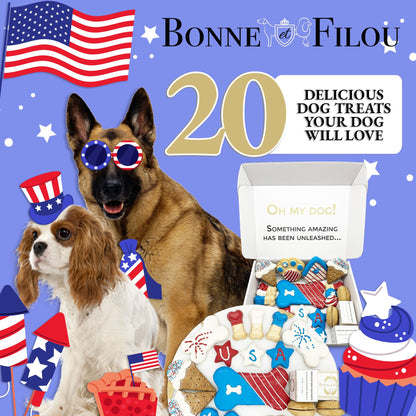 Patriotic USA dog treats gift box - 18 handmade treats - The Crazy Dog Shop