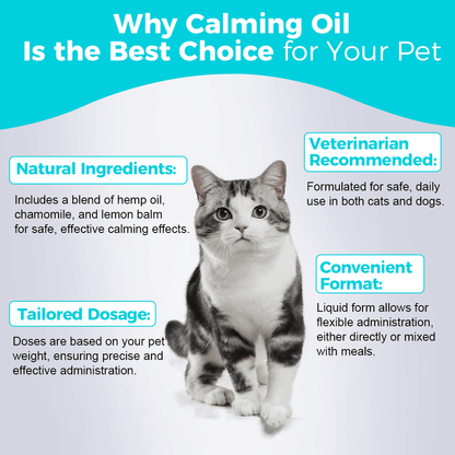 Calming oil for dogs - safe and natural formula