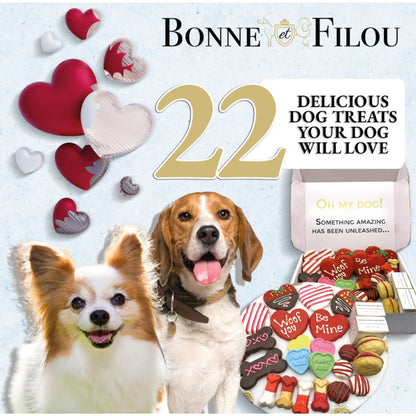 Valentines day dog treats gift box - 18 handmade treats - The Crazy Dog Shop