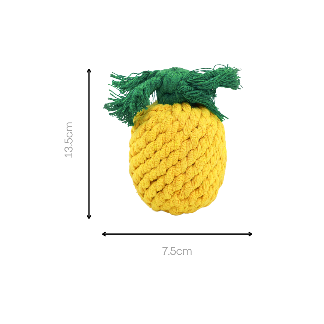 Fruity Delights handcrafted artisan rope dog toys - The Crazy Dog Shop 