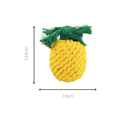 Fruity Delights handcrafted artisan rope dog toys - The Crazy Dog Shop 