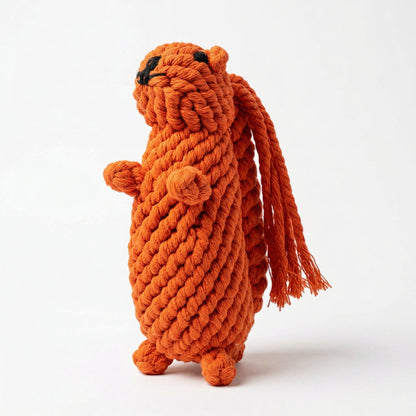 Oliver the Squirrel Rope Toy-1